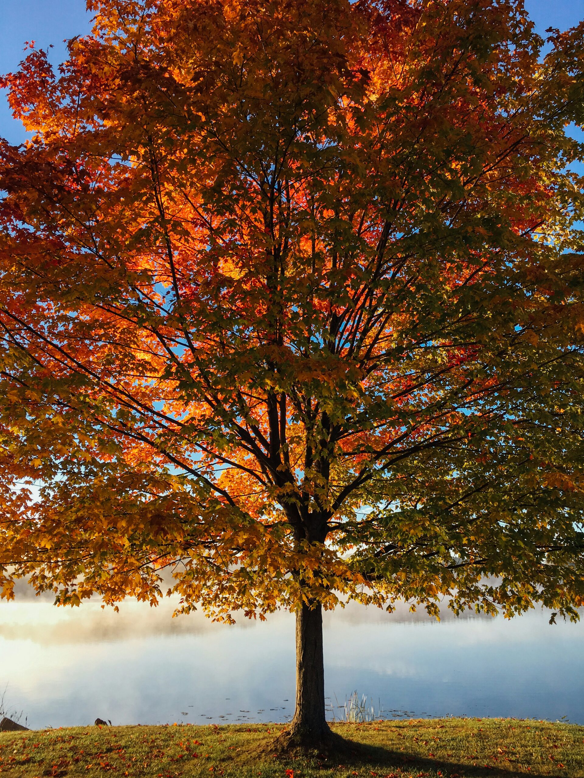 Foto von Aaron Burden auf Unsplash 
