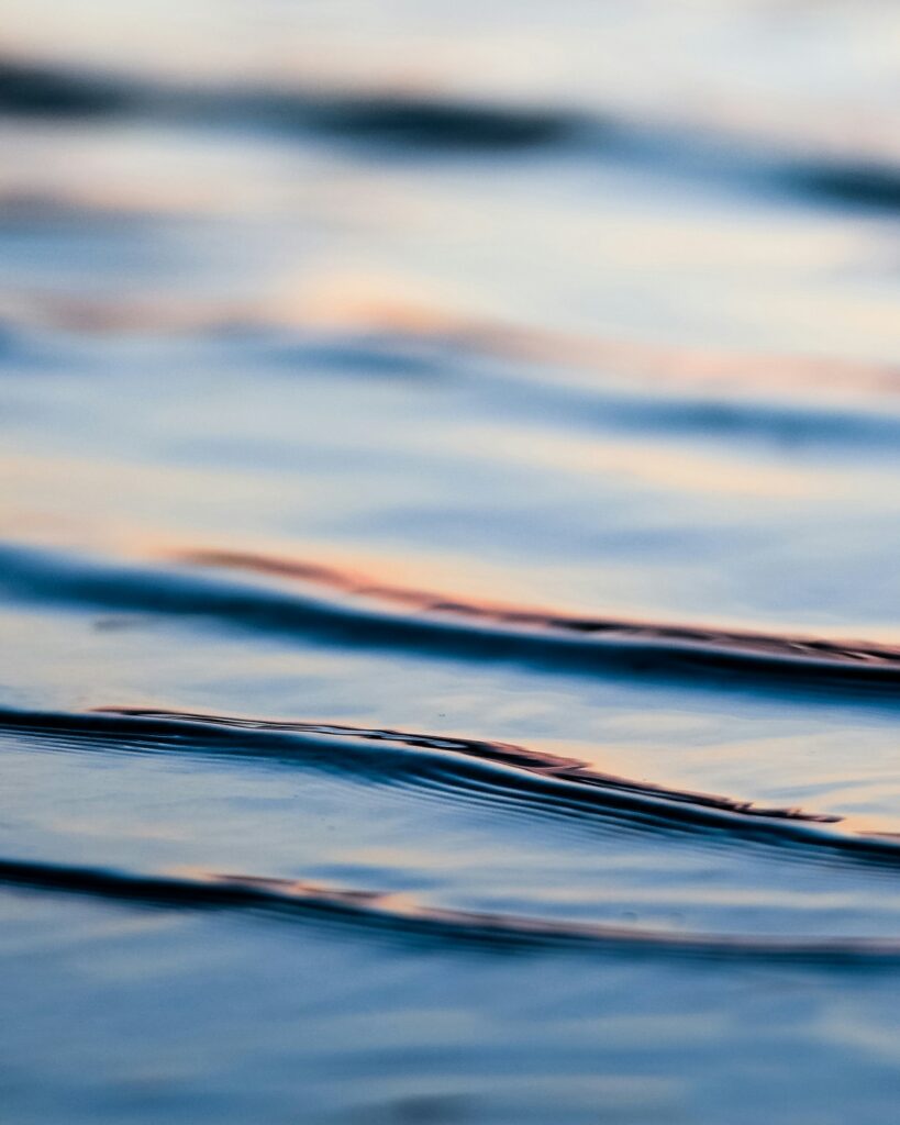 Foto von ameenfahmy auf Unsplash 