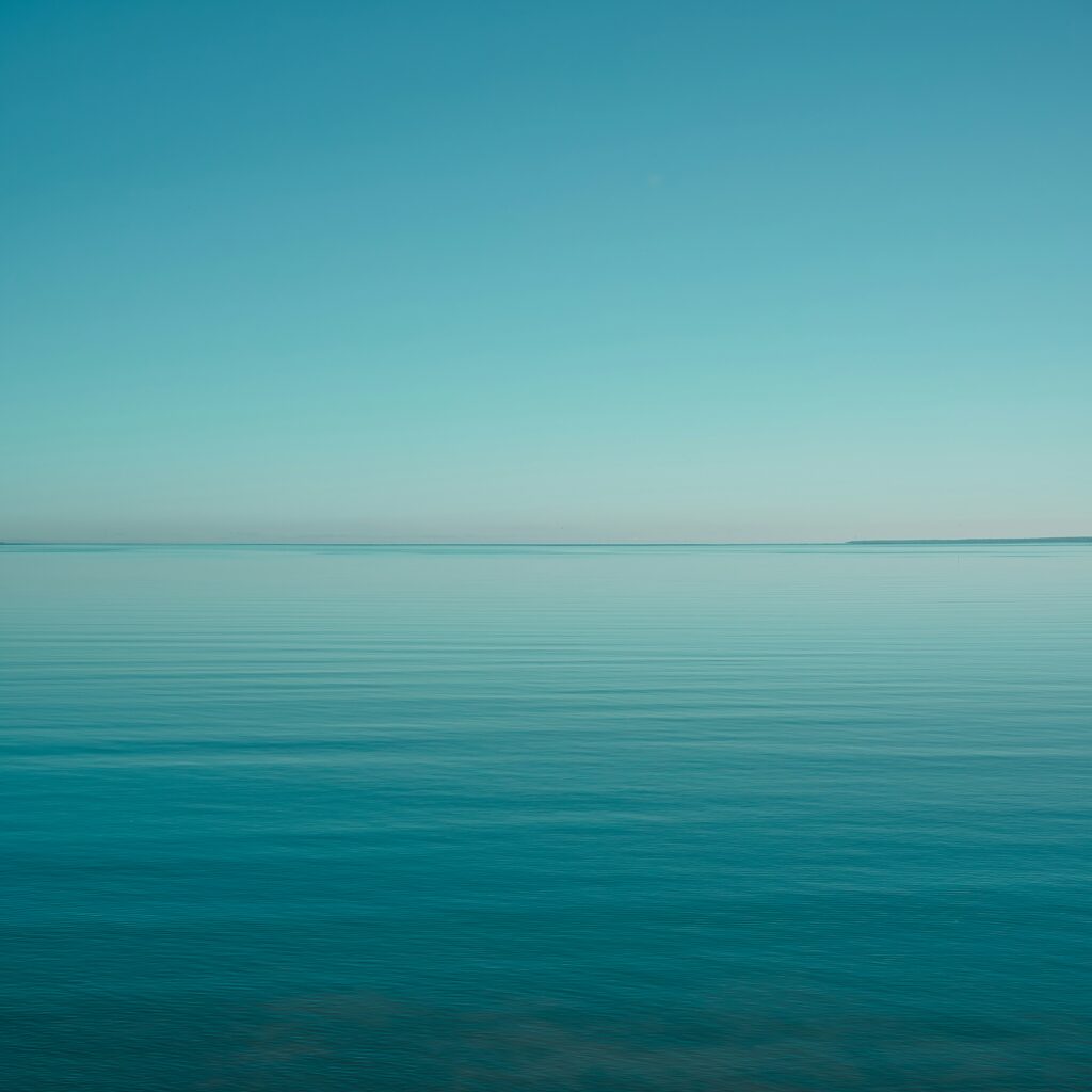 Foto von Maksim Shutov auf Unsplash 