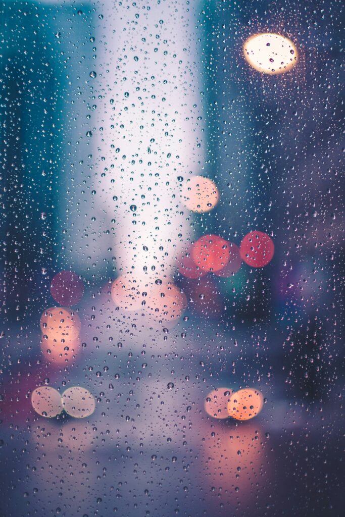 Foto von Max Bender auf Unsplash 