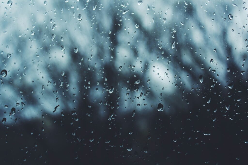 Foto von Noah Silliman auf Unsplash
