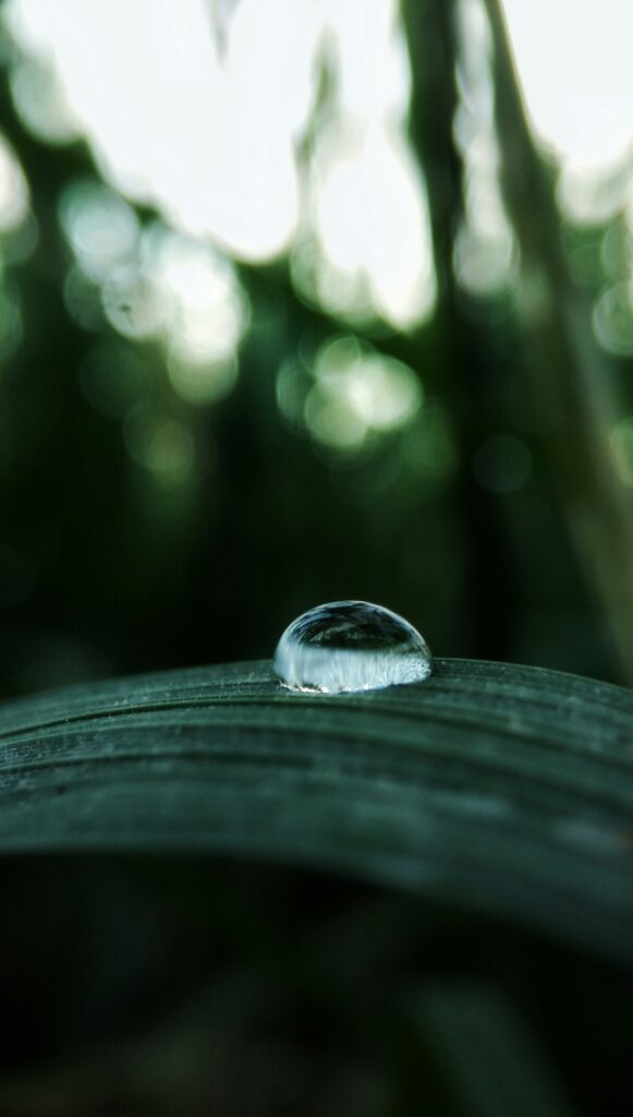Foto von Nur Agustiningsih auf Unsplash