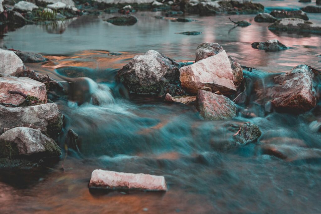 Foto von Sara Kurfeß auf Unsplash